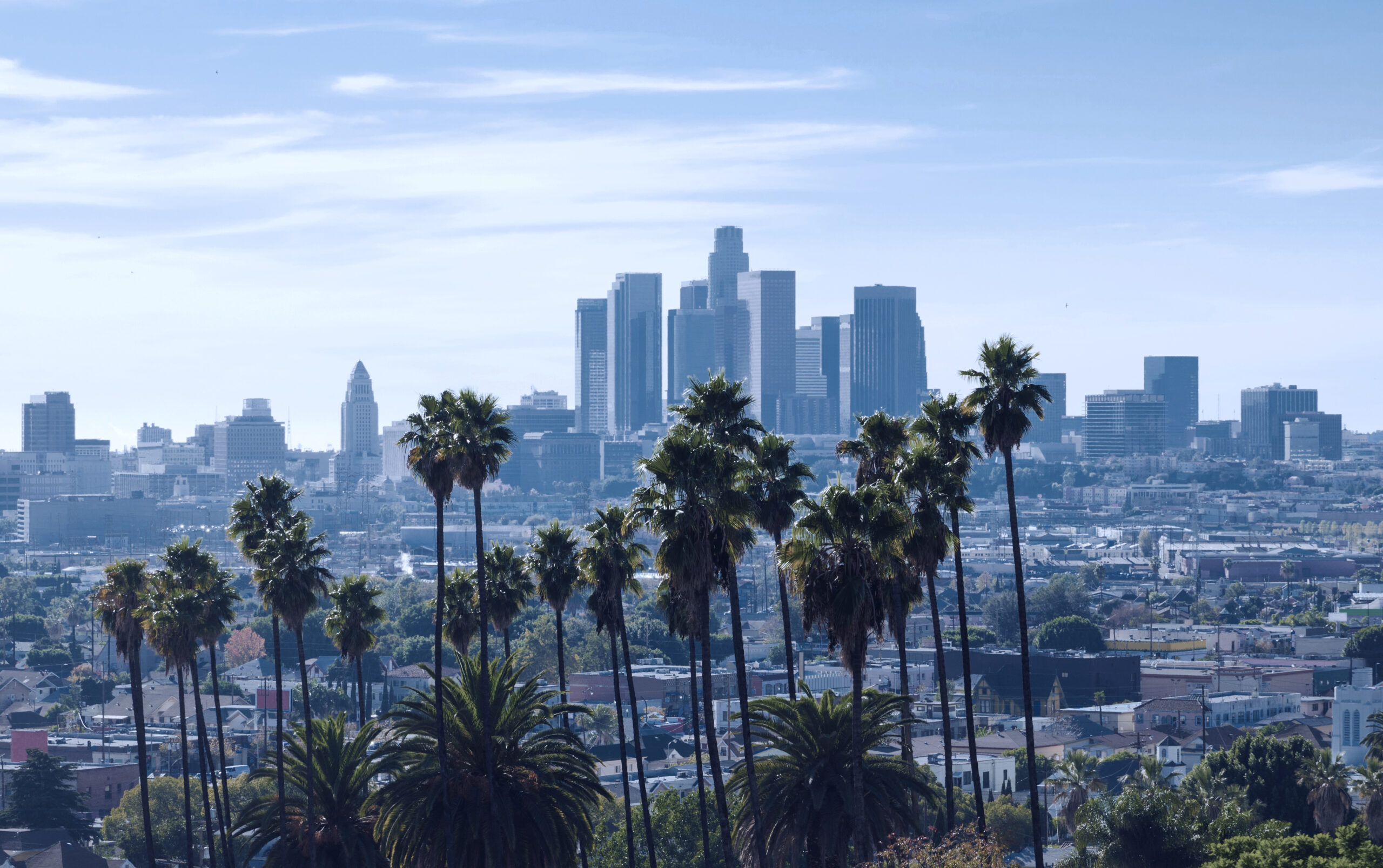 Los Angeles Message Board circle cover